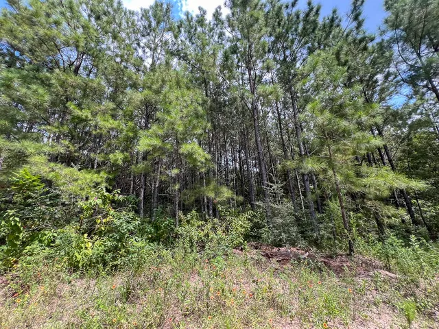 $115,500 | 4 County Road 235, Brookeland, TX 75931