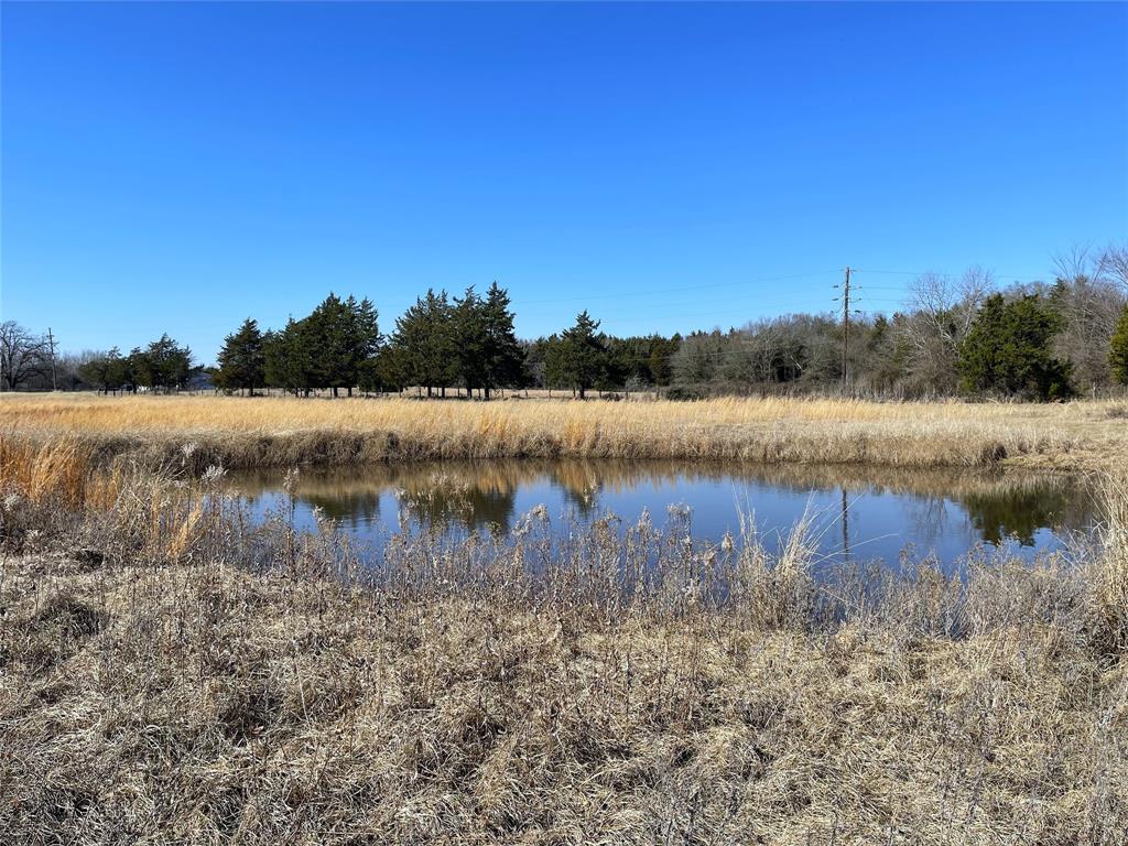 755 Fcr 601 Fairfield, TX 75840 - Photo 10 of 15 Pond at the front of the property
