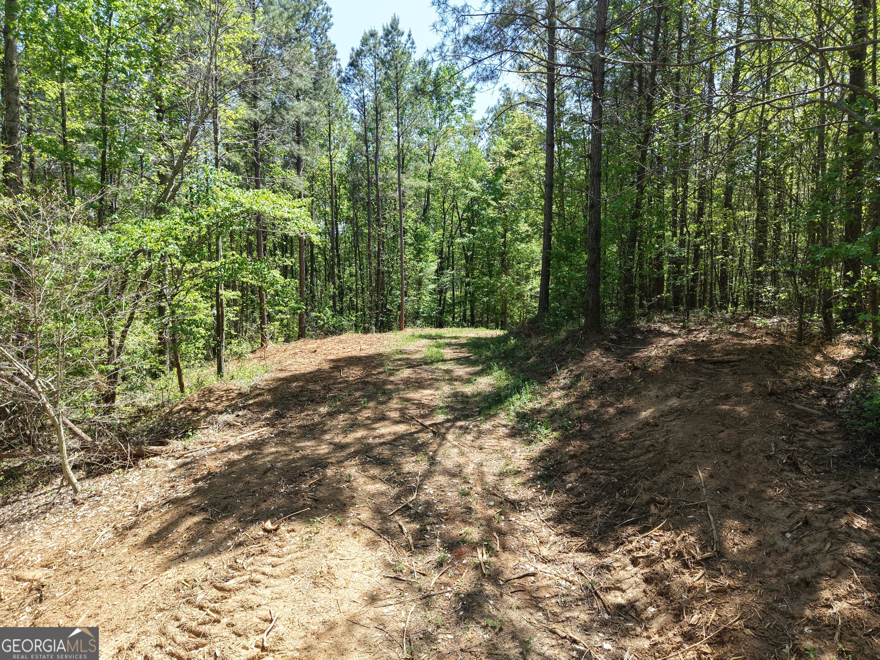 0 Ryo Mountain Road, Unit 9609 Fairmount, GA 30139 - Photo 85 of 87 Gallery Image 85