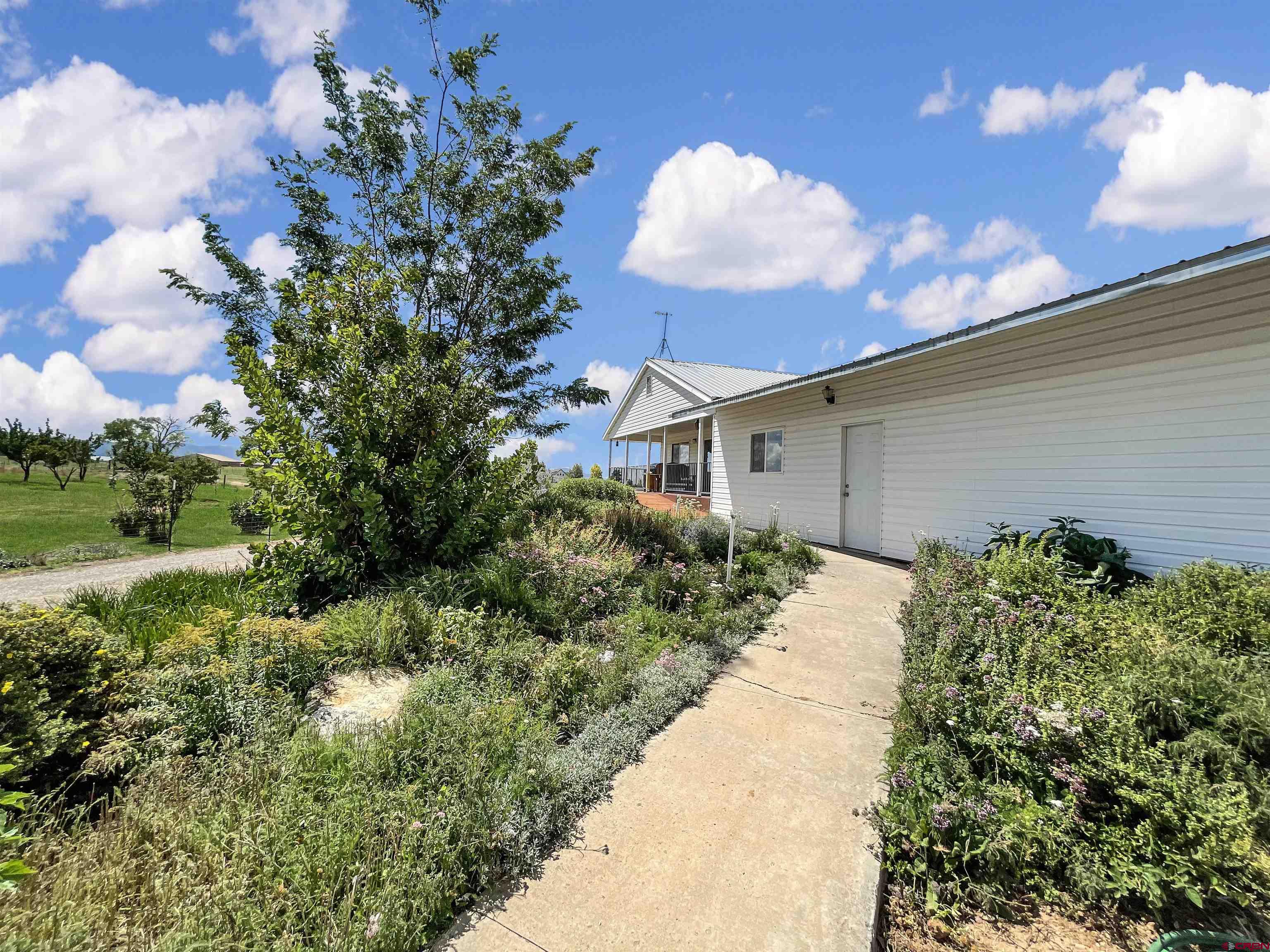 25970 Rd P Cortez, CO 81321 - Photo 3 of 20 a view of a back yard of the house