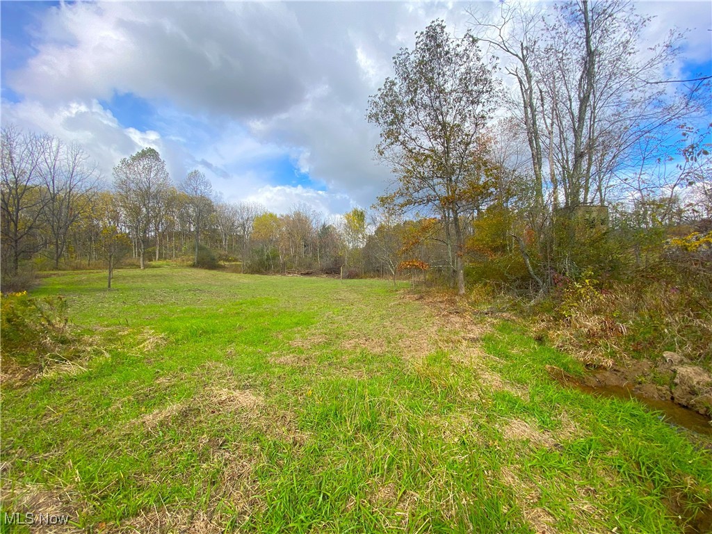 Toker Road Hopedale, OH 43976 - Photo 2 of 28 View of yard
