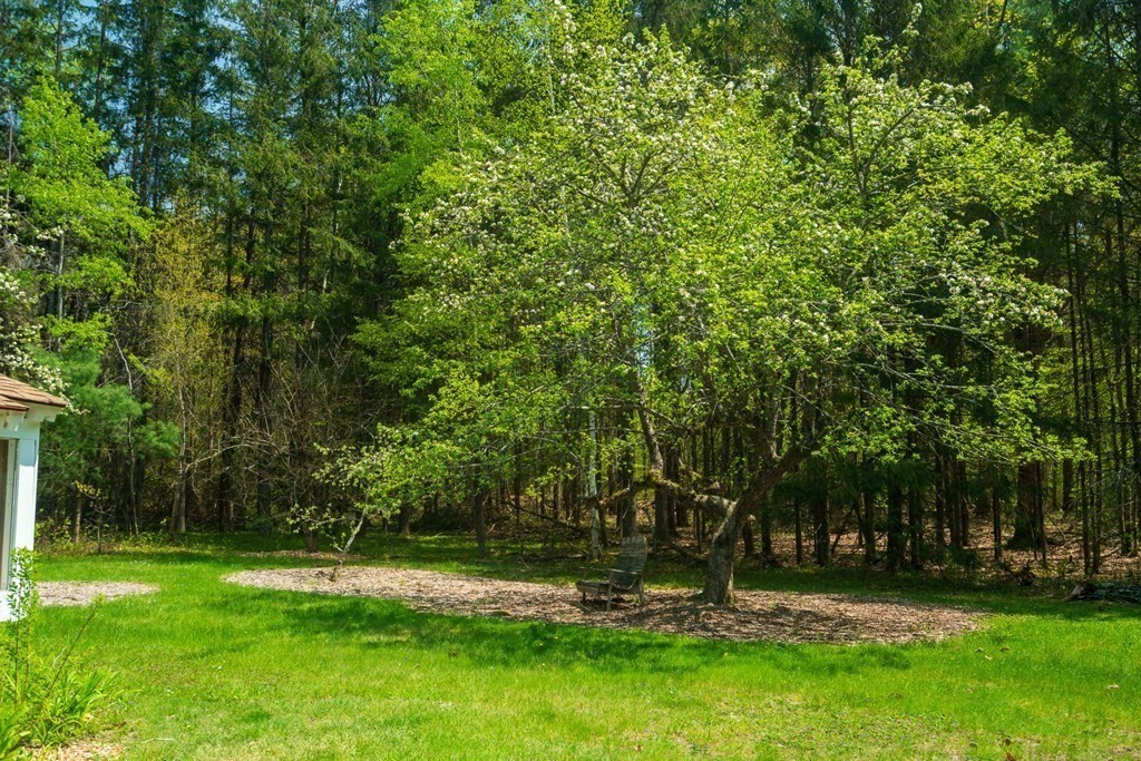 295 Montague Road Shutesbury, MA 01072 - Photo 41 of 42 Gallery Image 41