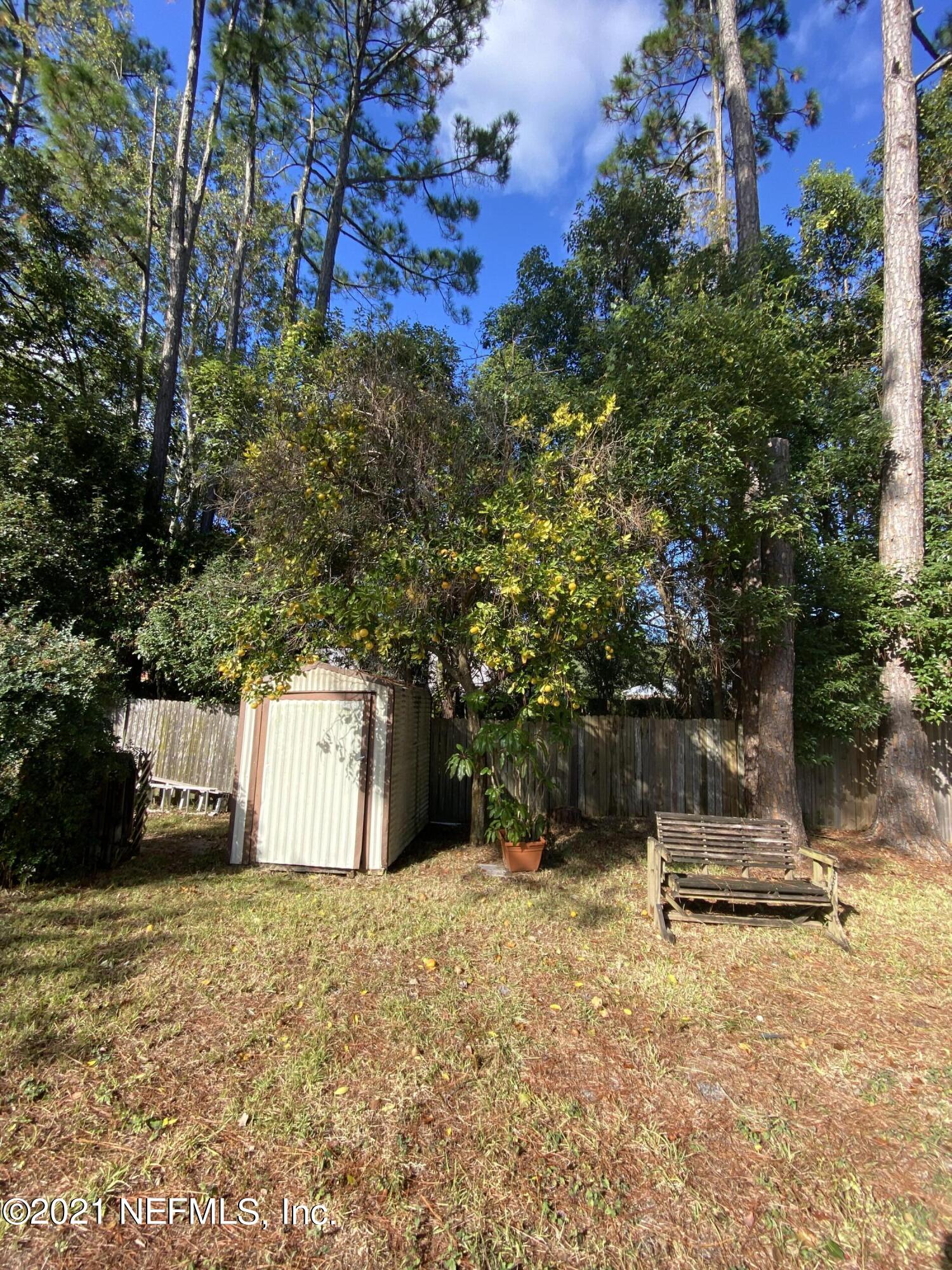 8219 Crosswind Road Jacksonville, FL 32244 - Photo 25 of 26 shed and fruit tree