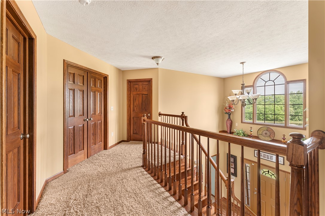 1515 Brackenridge Road Vincent, OH 45784 - Photo 29 of 50