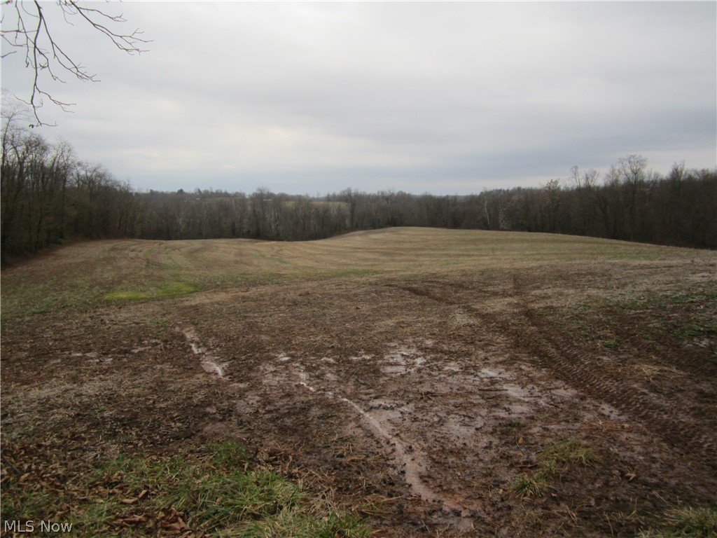 Goose Run Road Marietta, OH 45750 - Photo 14 of 15