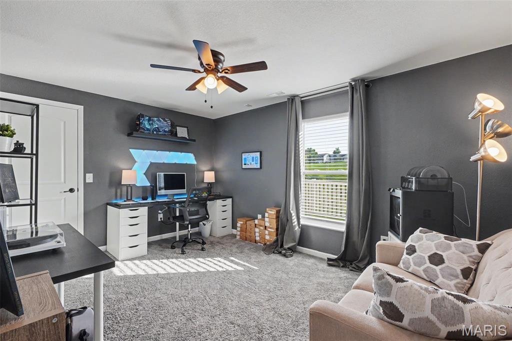 501 Micah's Way Columbia, IL 62236 - Photo 22 of 42