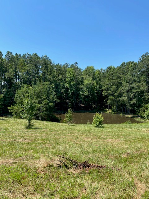 637 Chaptico Road, Unit A South Hill, VA 23970 - Photo 27 of 52 Gallery Image 27