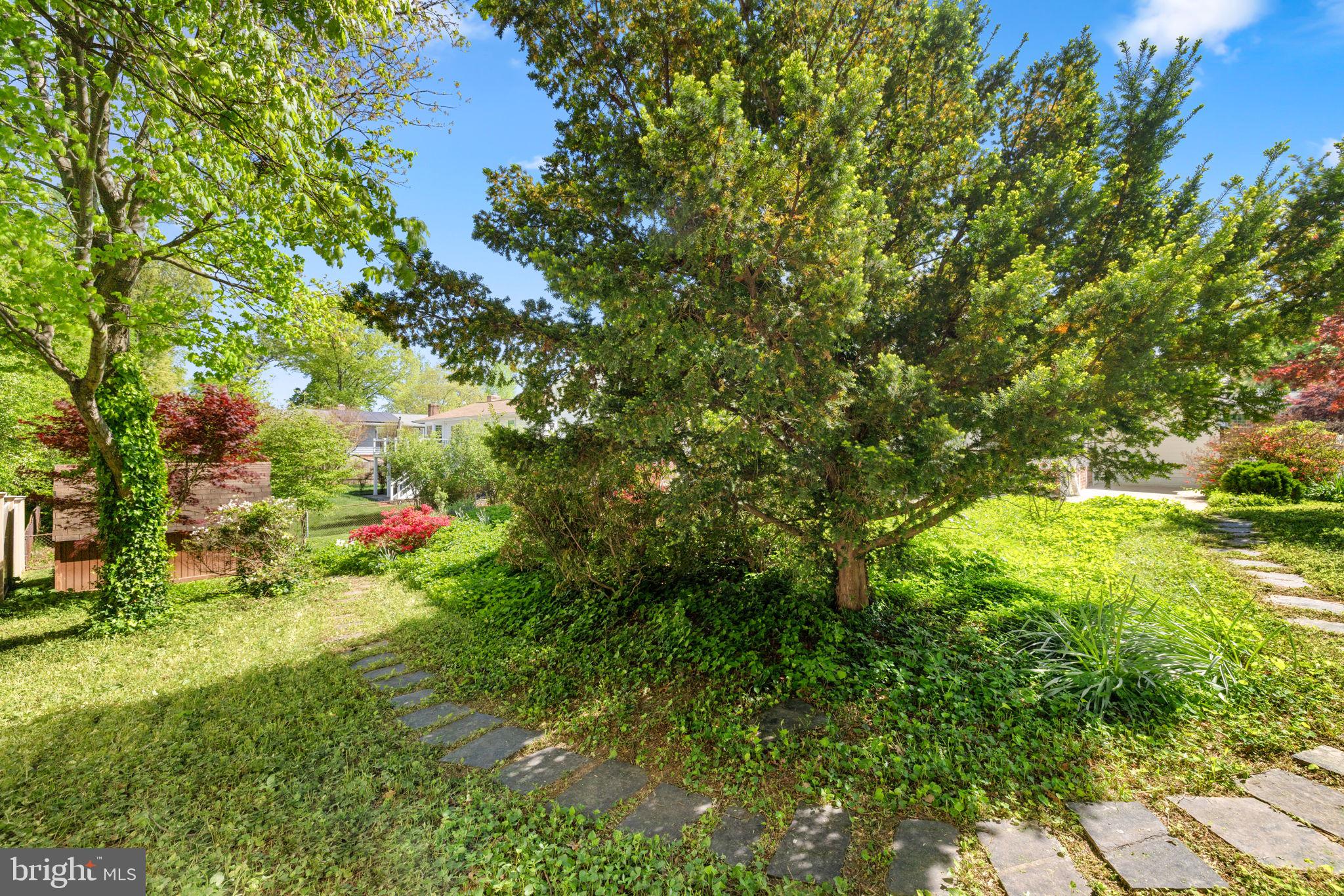 8220 Smithfield Avenue Springfield, VA 22152 - Photo 58 of 63 Beautifully maintained yard w/ privacy