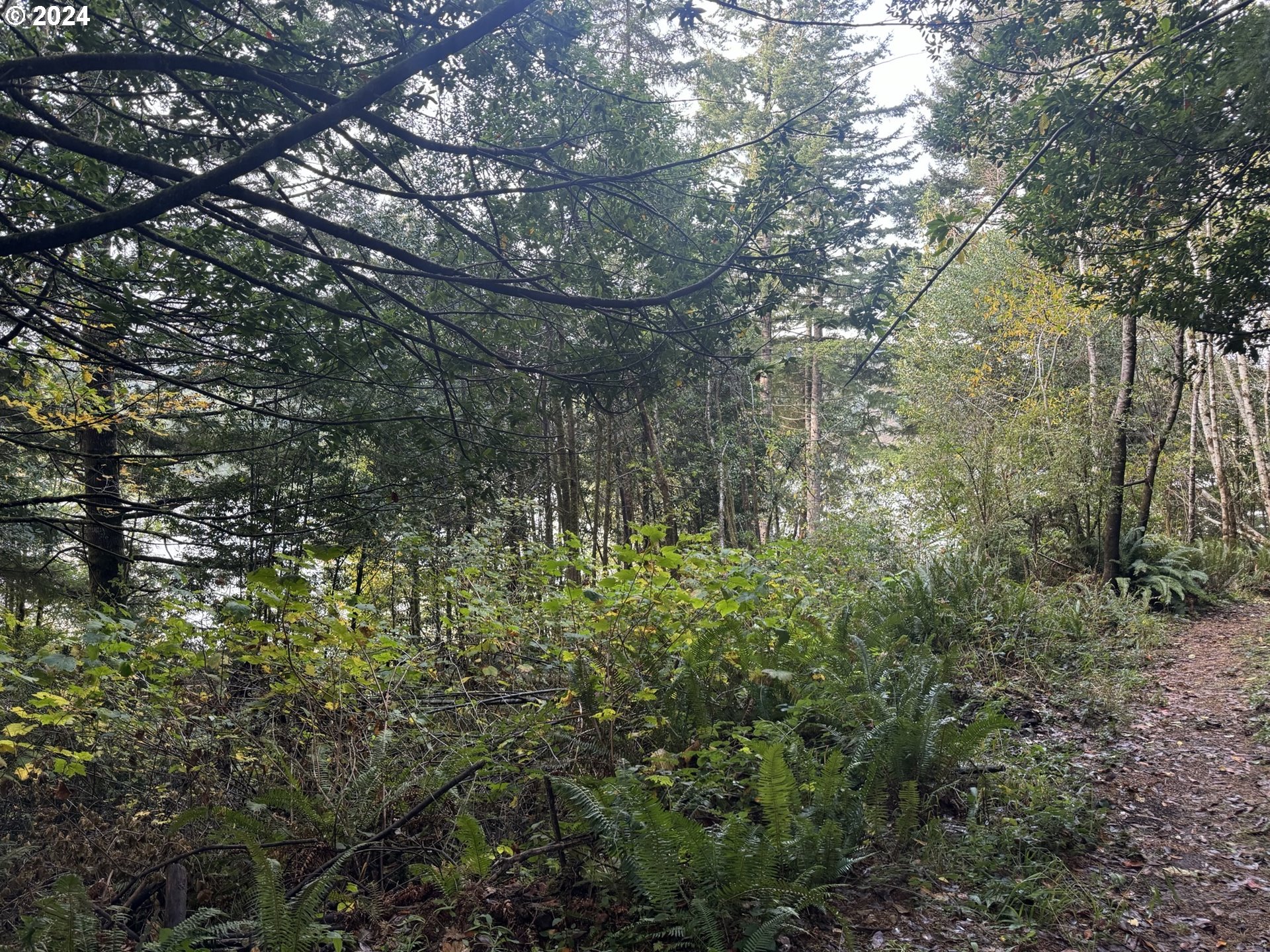 0 Potato Bottom Road, Unit 603 Lakeside, OR 97449 - Photo 11 of 27