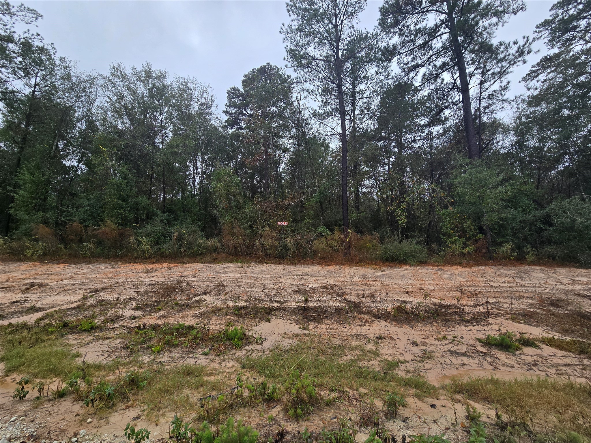 a view of dirt field with trees in the background