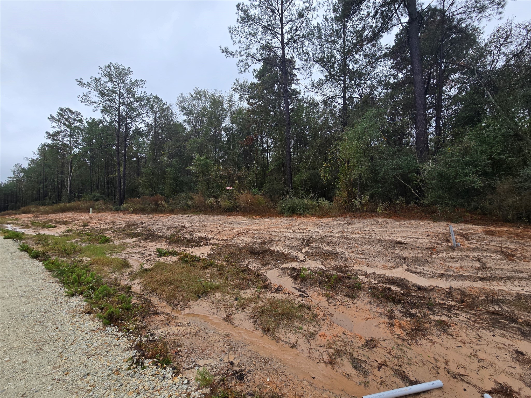 142 Splendid Road New Waverly, TX 77358 - Photo 3 of 11 a view of outdoor space with trees