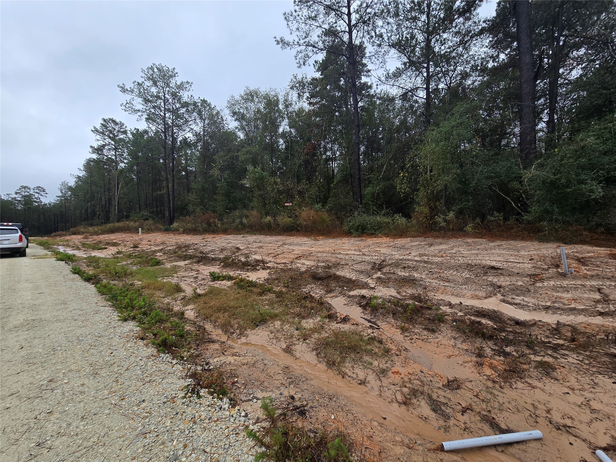 142 Splendid Road New Waverly, TX 77358 - Photo 4 of 11 a view of a yard with trees
