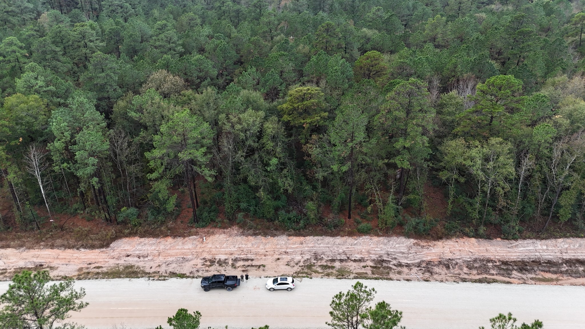 142 Splendid Road New Waverly, TX 77358 - Photo 8 of 11 a view of a lake with beach