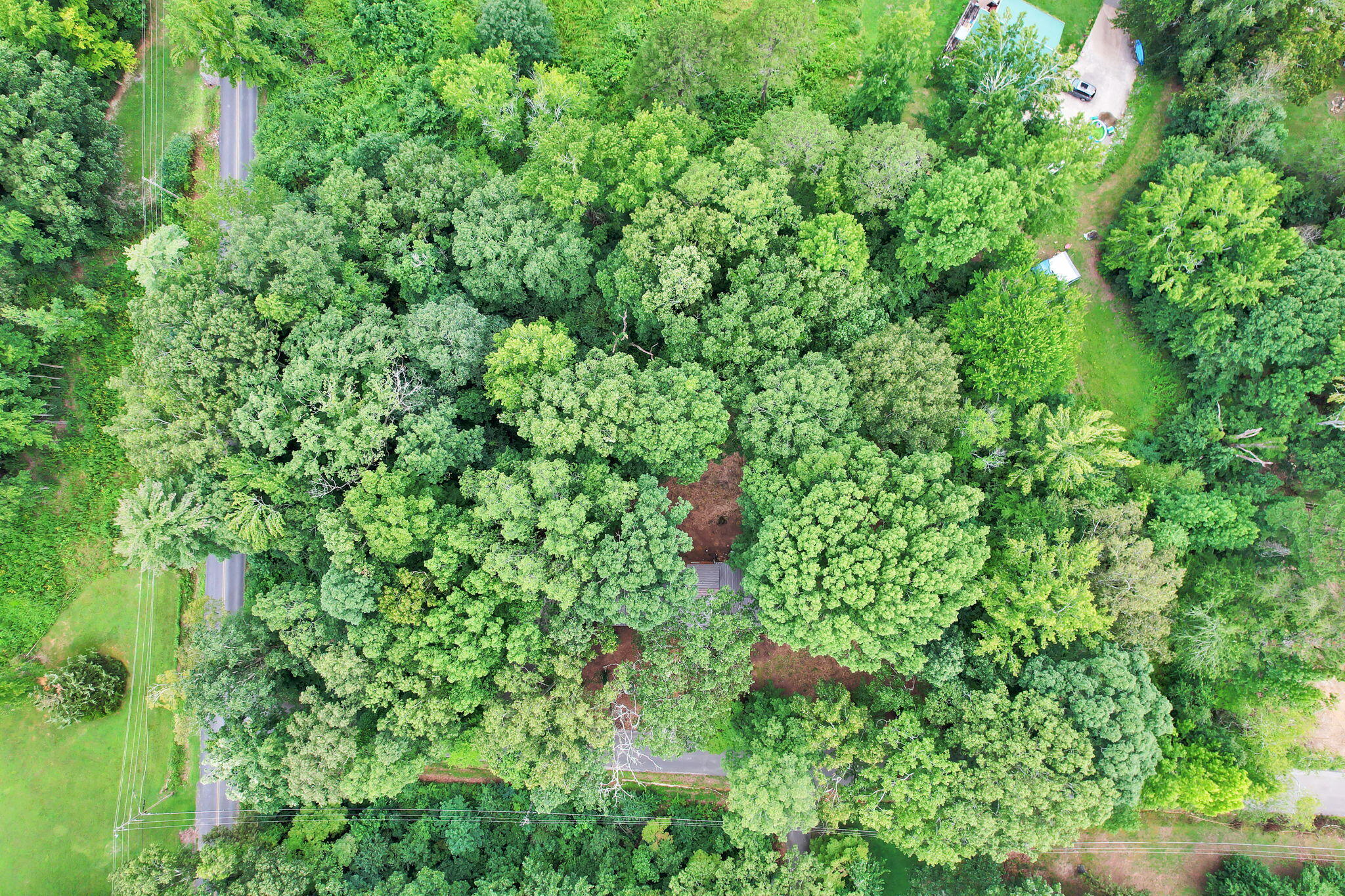 3780 Calfee Lane Cleveland, TN 37323 - Photo 44 of 44 14-web-or-mls-DJI_0455