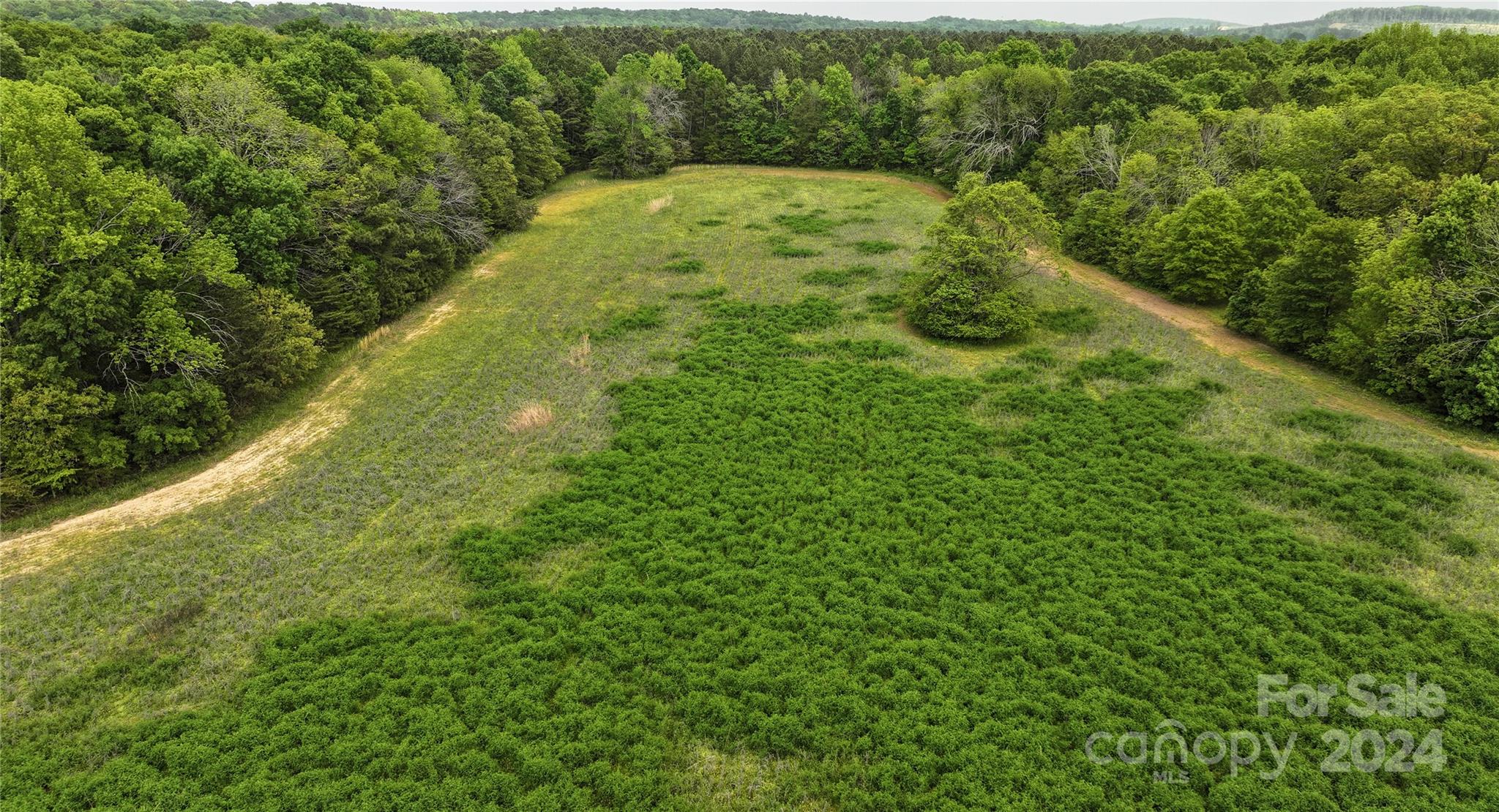 0 Russell Road, Unit 10 Denton, NC 27239 - Photo 16 of 19 Gallery Image 16