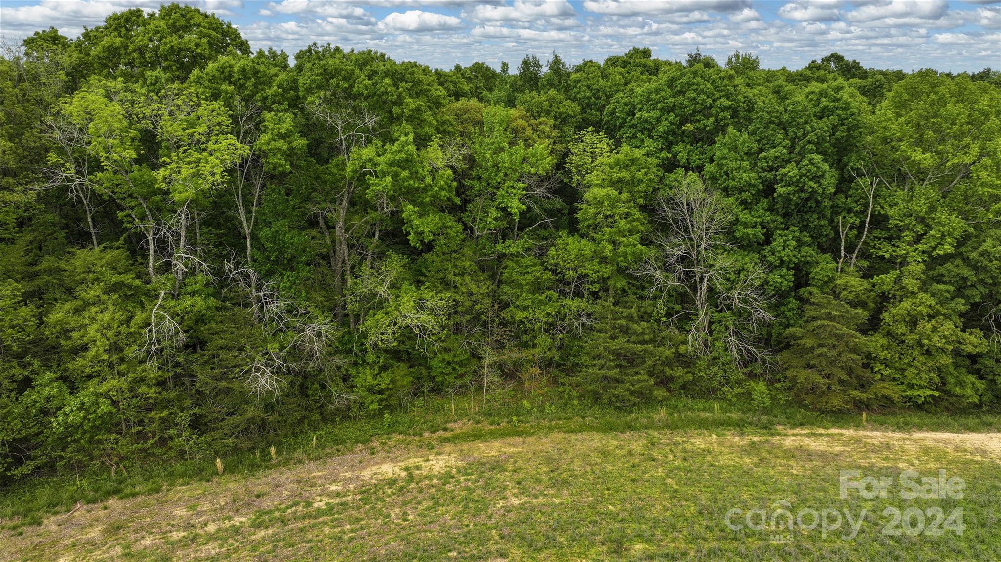 0 Russell Road, Unit 10 Denton, NC 27239 - Photo 18 of 19 Gallery Image 18