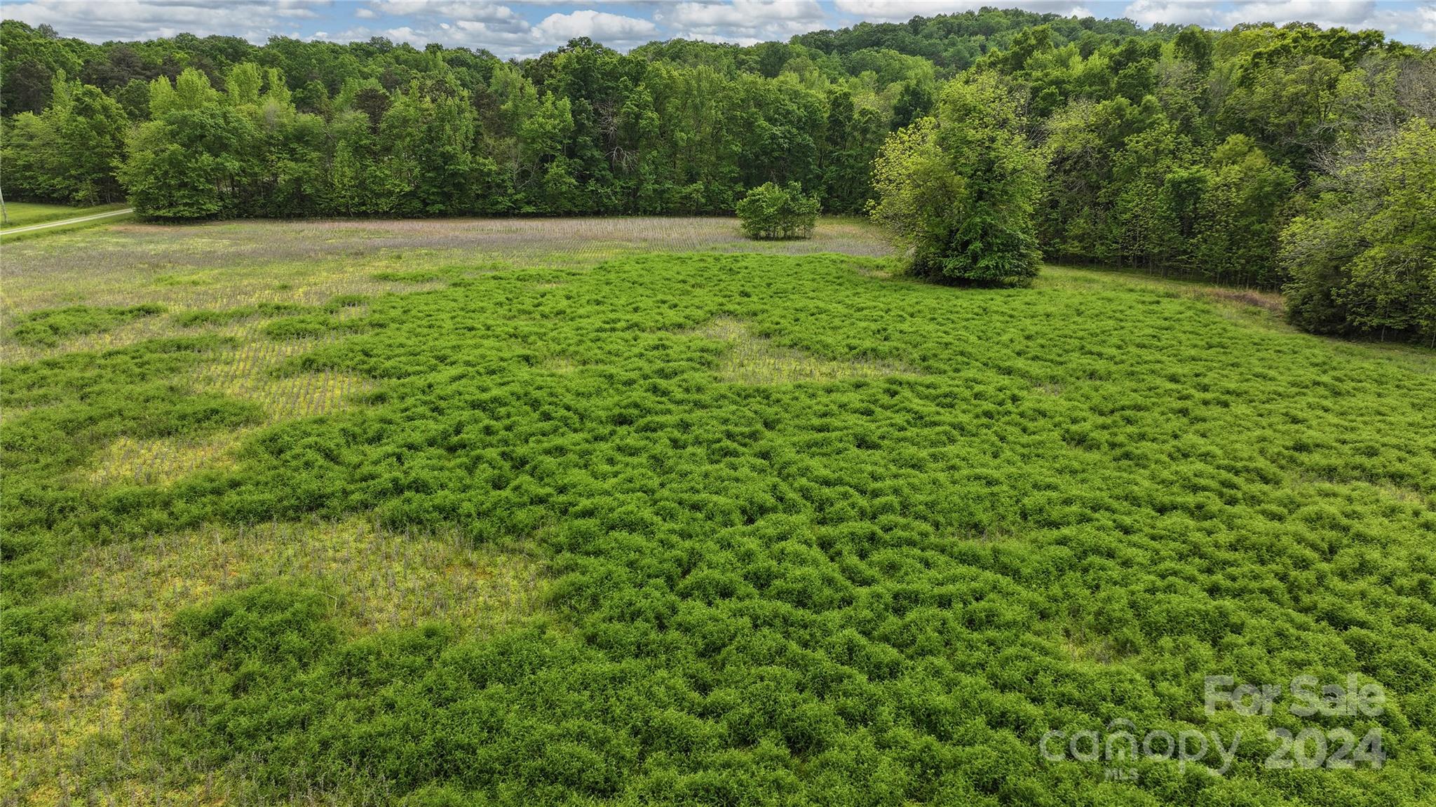 0 Russell Road, Unit 10 Denton, NC 27239 - Photo 19 of 19 Gallery Image 19