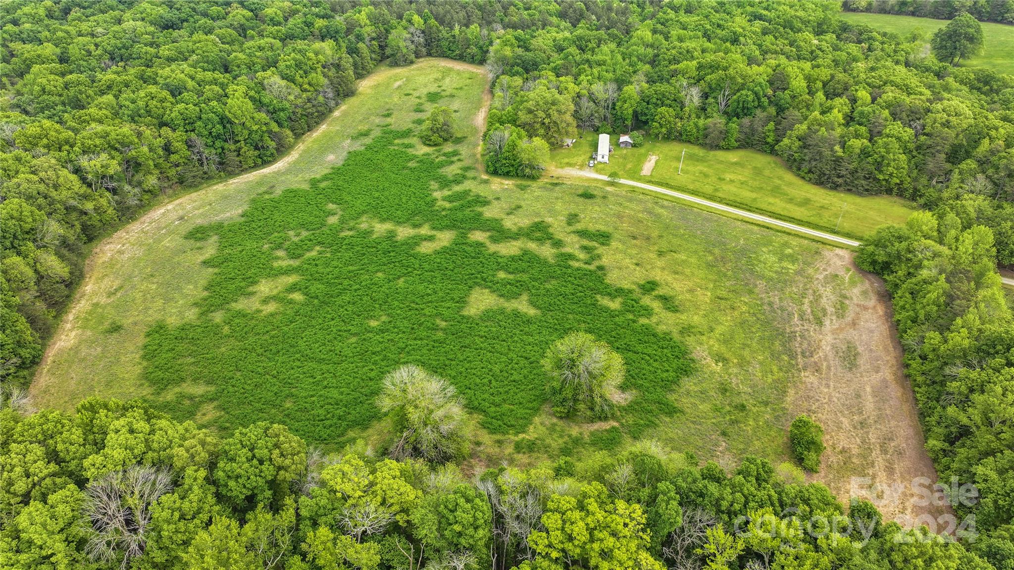 0 Russell Road, Unit 10 Denton, NC 27239 - Photo 3 of 19 Gallery Image 3