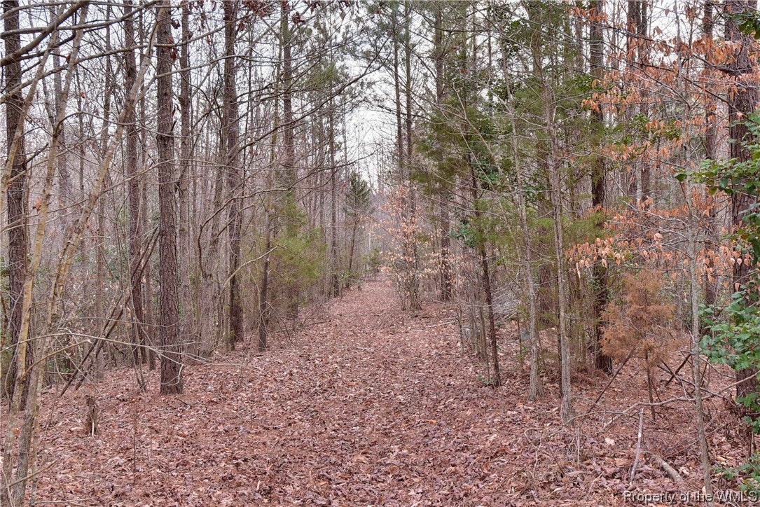 12011 Cattail Road New Kent, VA 23124 - Photo 20 of 23 Gallery Image 20