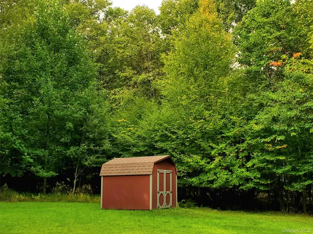 a view of a trees in a yard