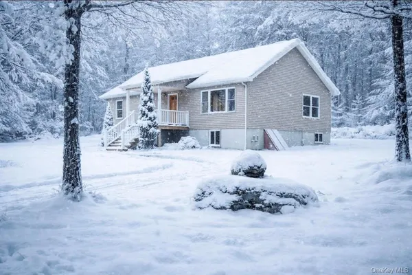 a front view of a house with a yard covered in snow