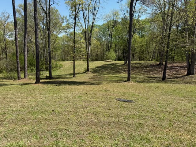 534 Whitney Branch Road Springville, TN 38256 - Photo 1 of 41 Gallery Image 1