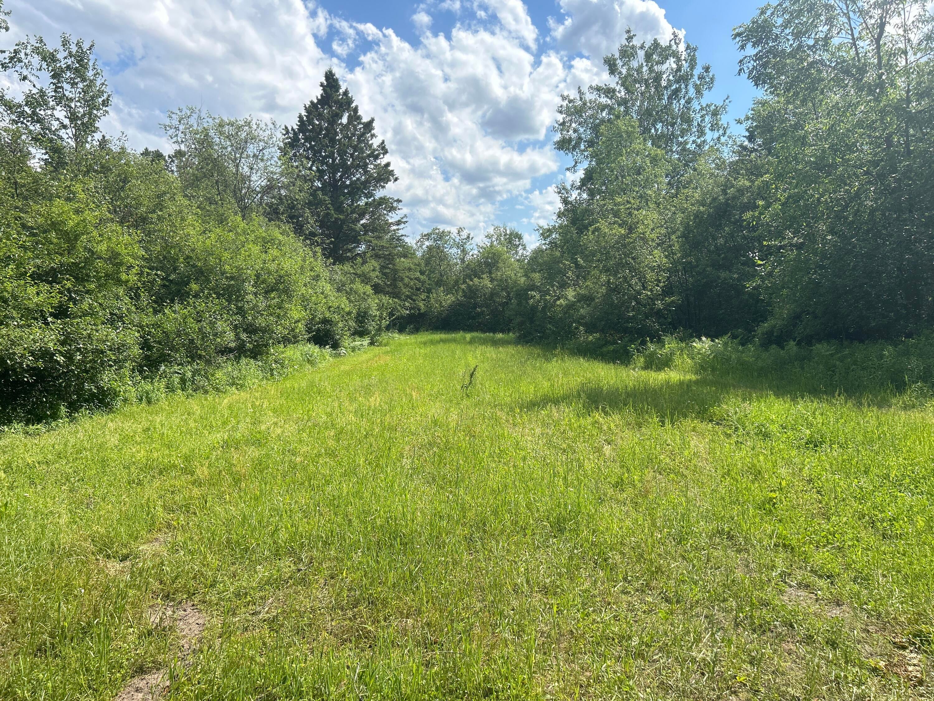 Salina Road Lachine, MI 49753 - Photo 21 of 26 Gallery Image 21