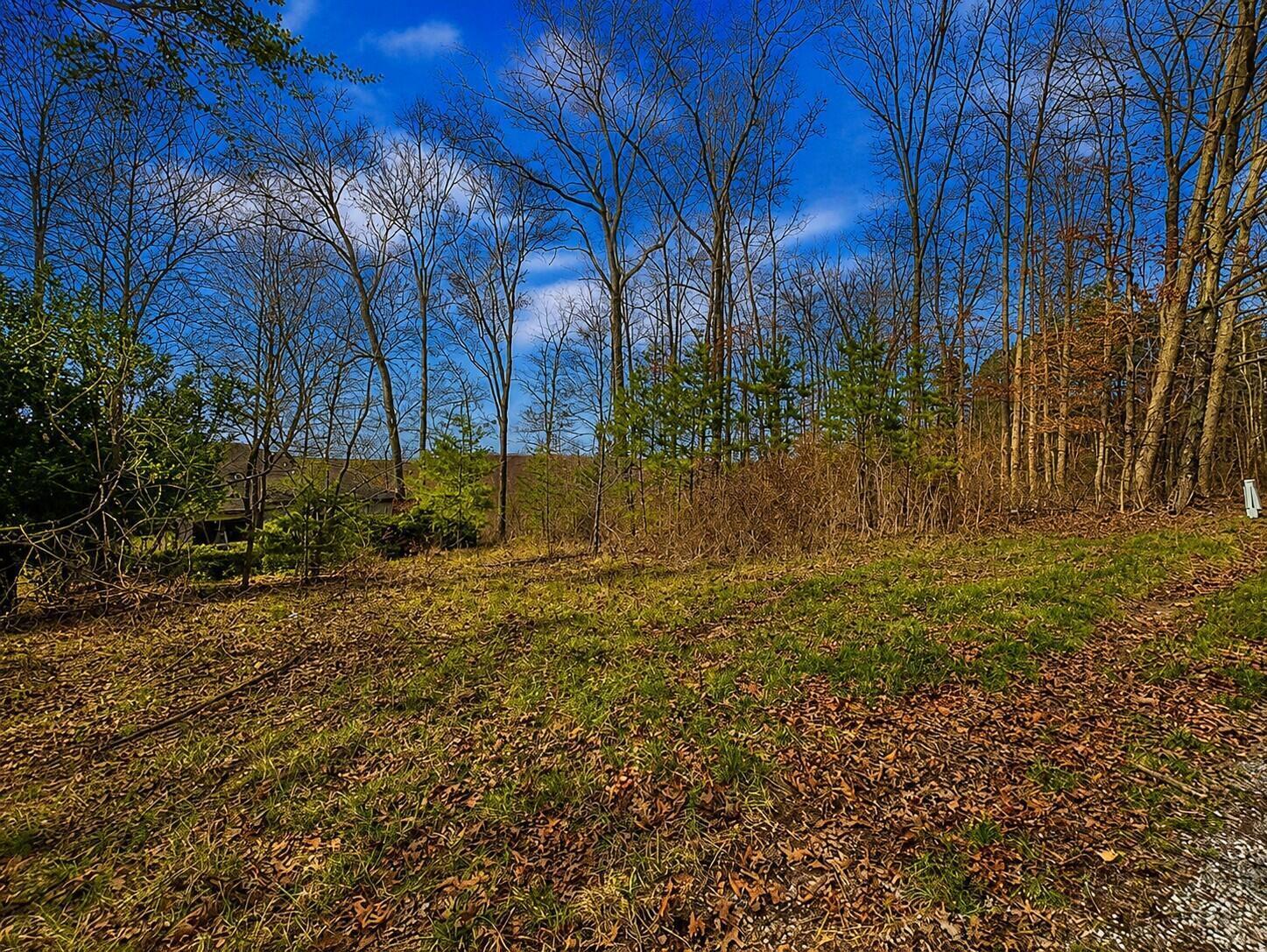 799 Woodruff Road Vinton, OH 45686 - Photo 3 of 4 ChatGPT Image Jul 15, 2026, 02_22_49 PM