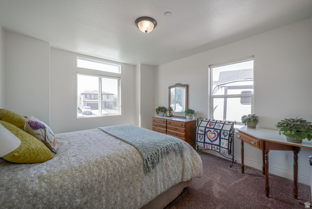 1288 North Horizon View Loop Elk Ridge, UT 84651 - Photo 23 of 40 Bedroom with dark colored carpet and baseboards