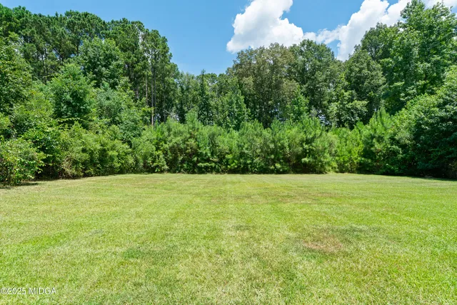 a view of a field with a trees in the background