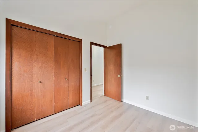 a view of a backyard with plants and large tree