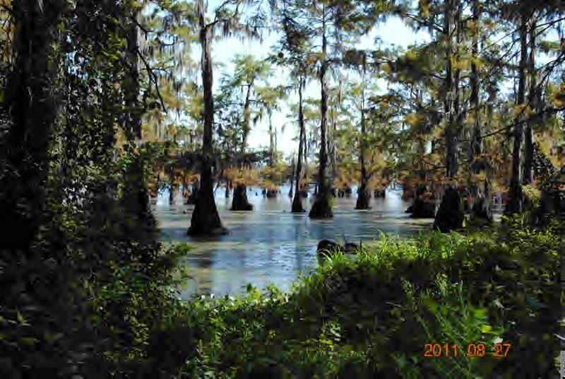 148 Doyle Carter Road Campti, LA 71411 - Photo 4 of 16 Gallery Image 4