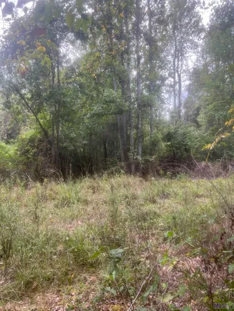 $320,000 | 1 Battle Road, Ethel, LA 70730