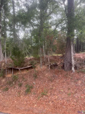 $320,000 | 1 Battle Road, Ethel, LA 70730