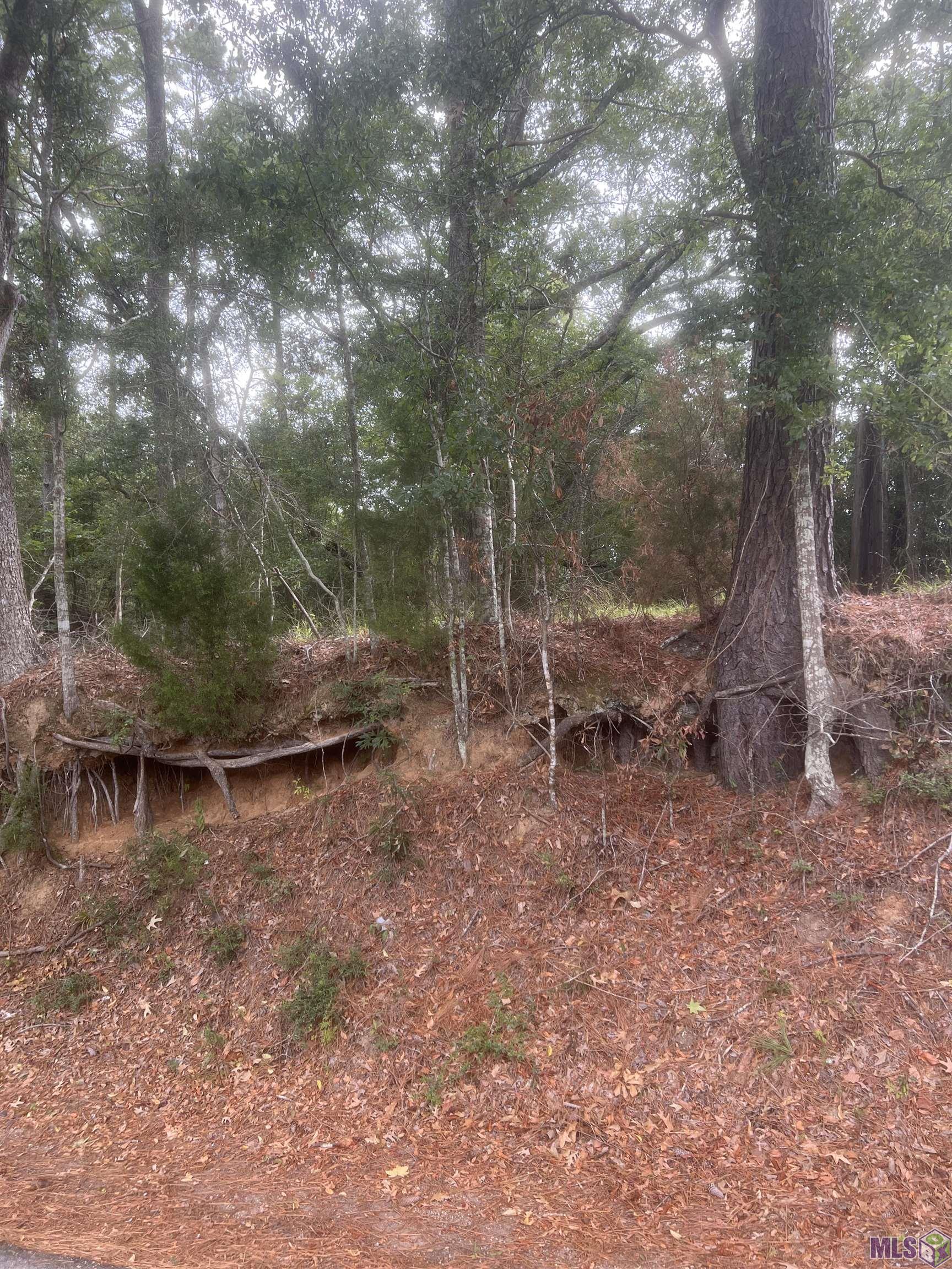 1 Battle Road Ethel, LA 70730 - Photo 2 of 6