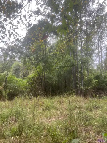 $320,000 | 1 Battle Road, Ethel, LA 70730