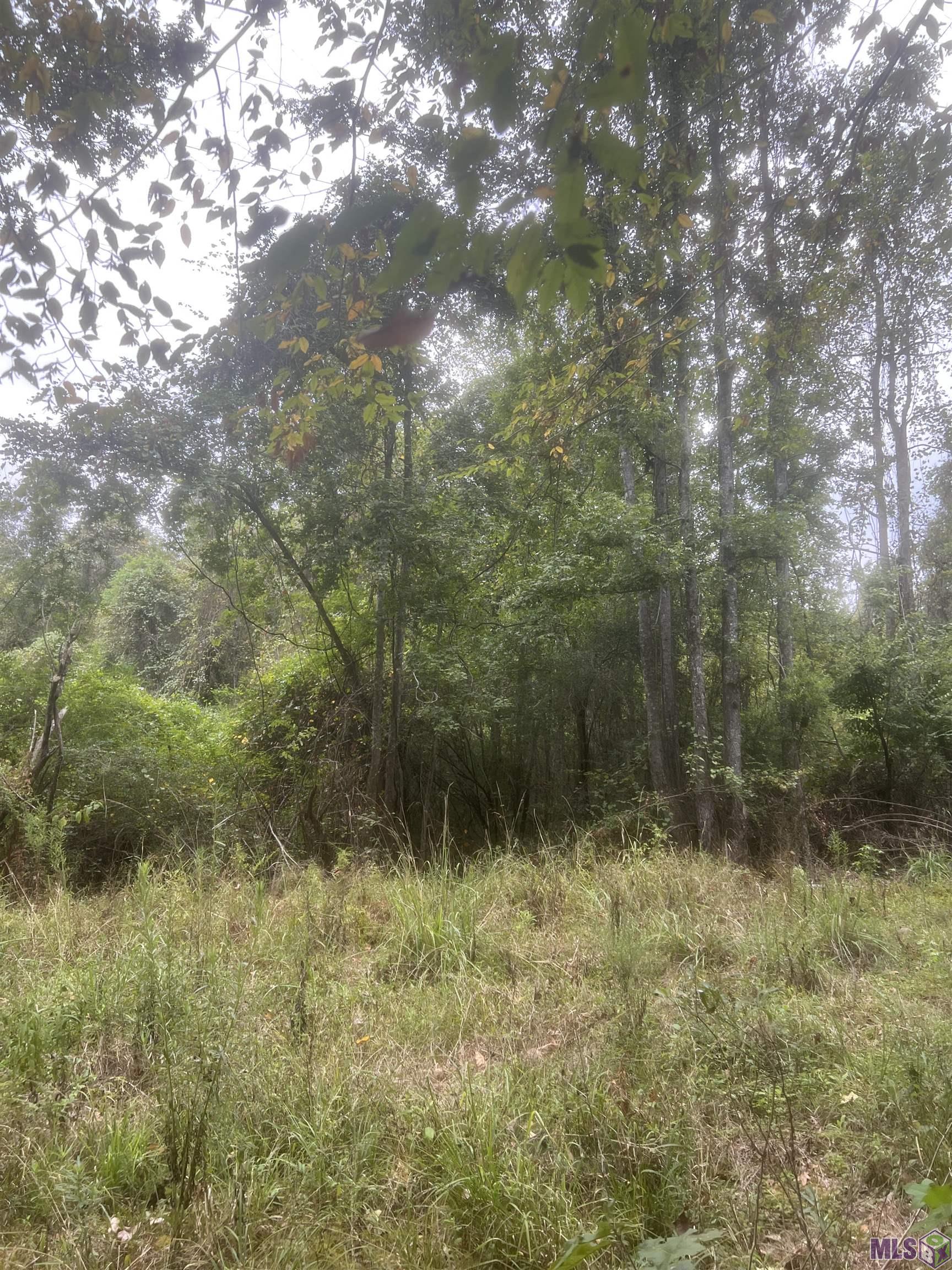 1 Battle Road Ethel, LA 70730 - Photo 3 of 6