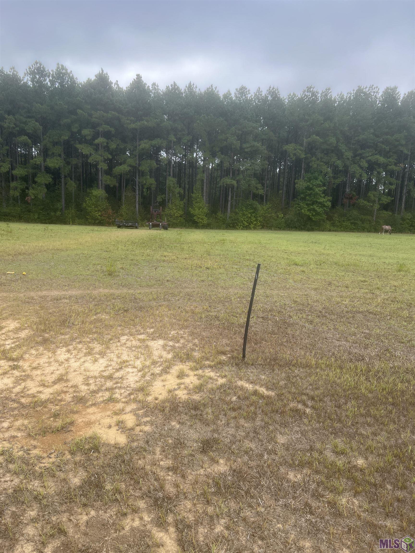 1 Battle Road Ethel, LA 70730 - Photo 5 of 6