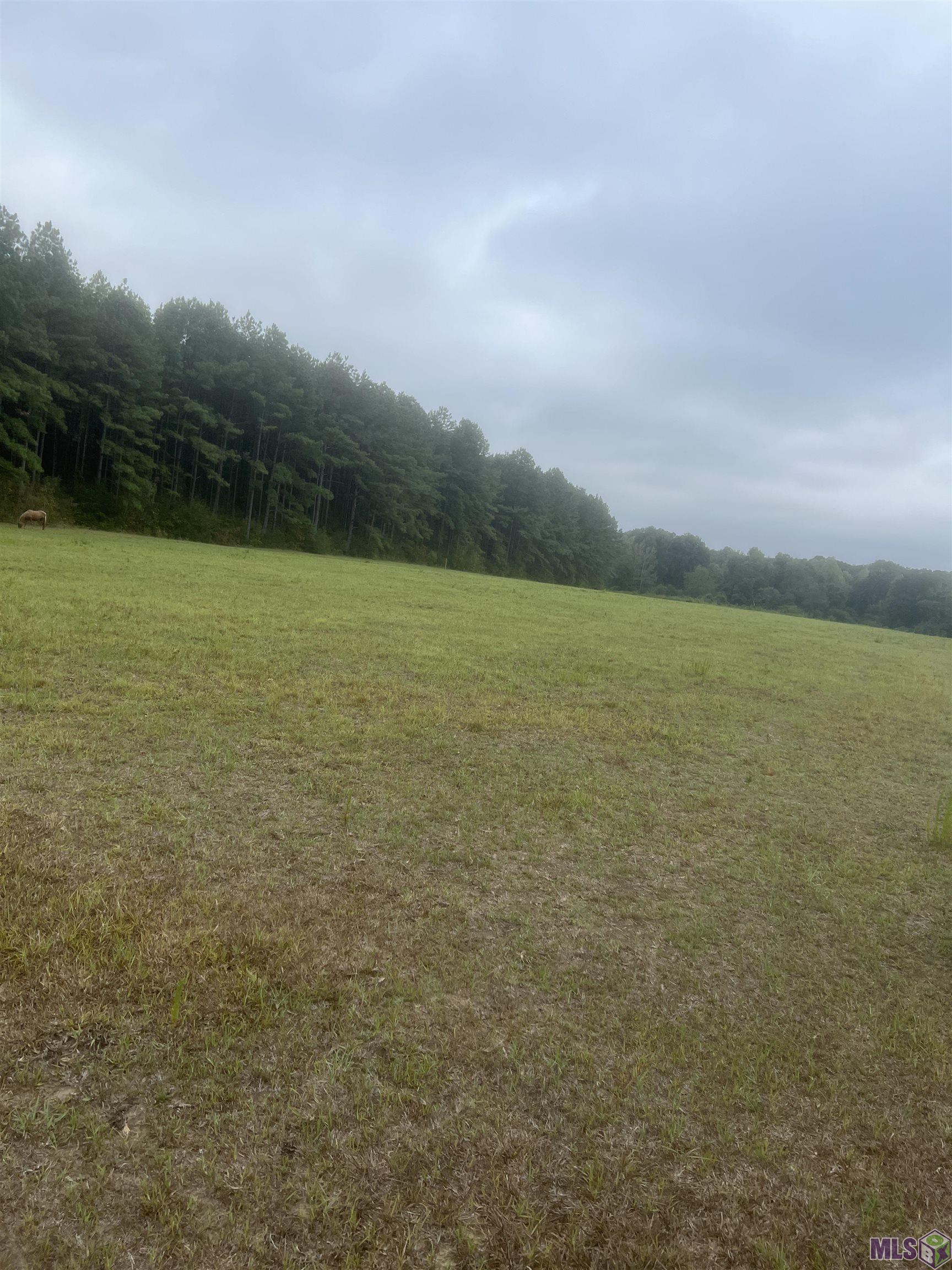 1 Battle Road Ethel, LA 70730 - Photo 6 of 6