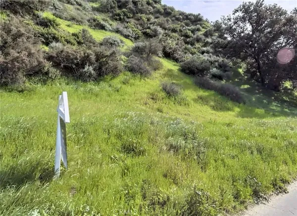 $45,000 | 0 Lincoln Avenue, Castaic, CA 91384