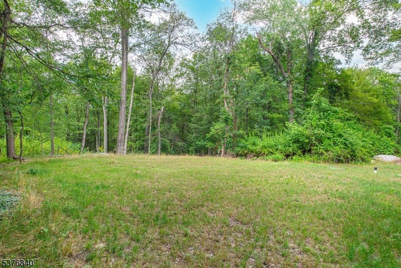 25 East Shore Lake Owassa Road Newton, NJ 07860 - Photo 18 of 19 a view of outdoor space and yard
