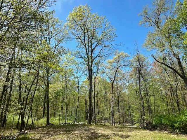 $439,000 | 25 East Shore Lake Owassa Road, Newton, NJ 07860