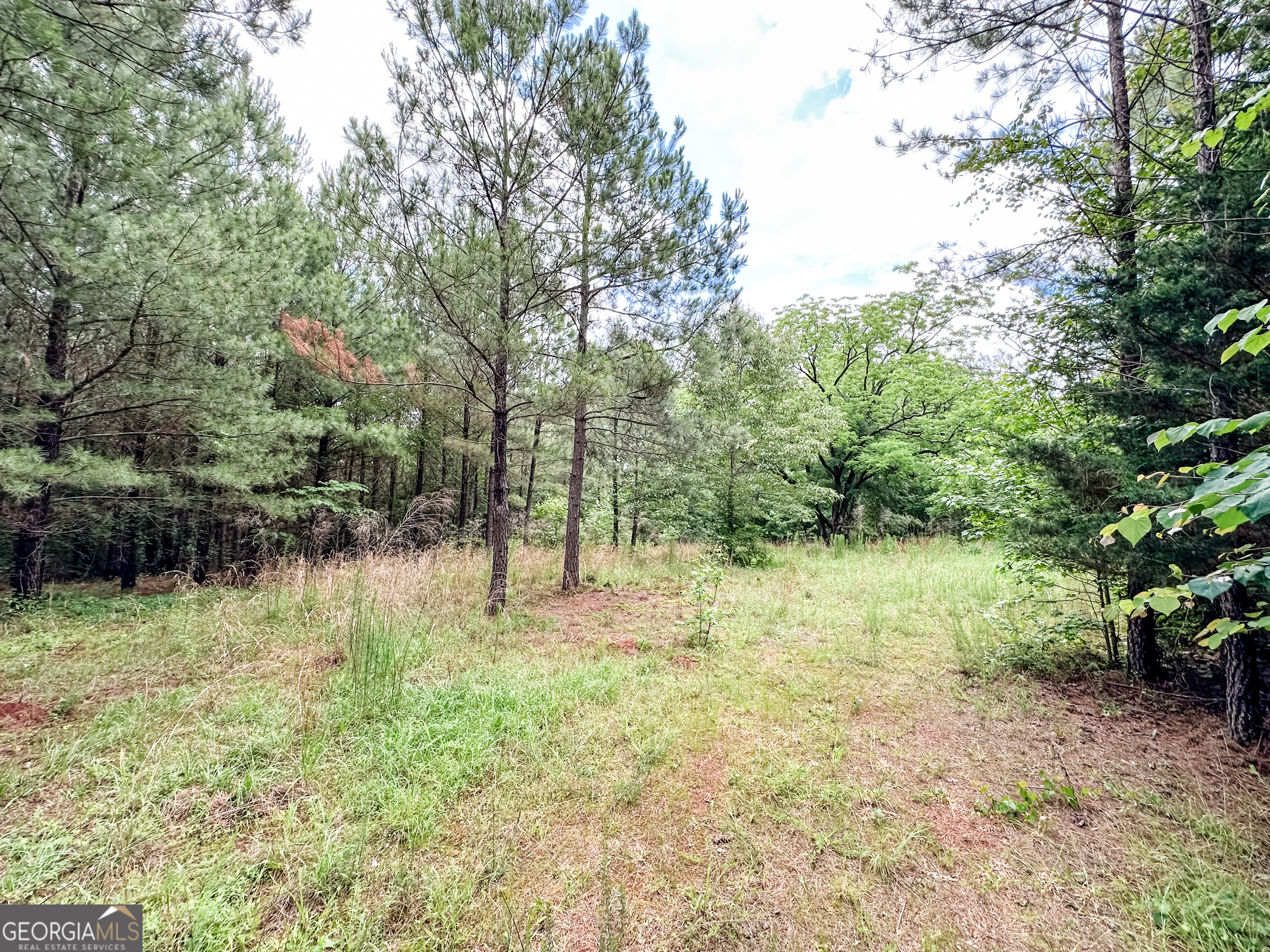 52.4-acres Goolsby Road, Unit 52 4 ACRES Monticello, GA 31064 - Photo 21 of 25