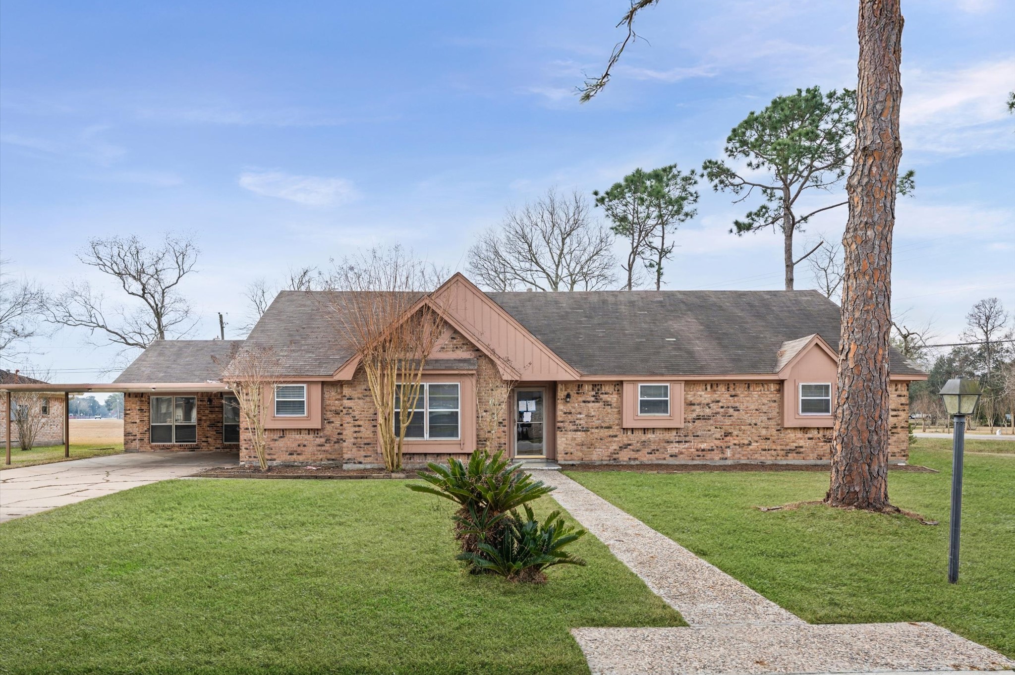a view of house with a garden