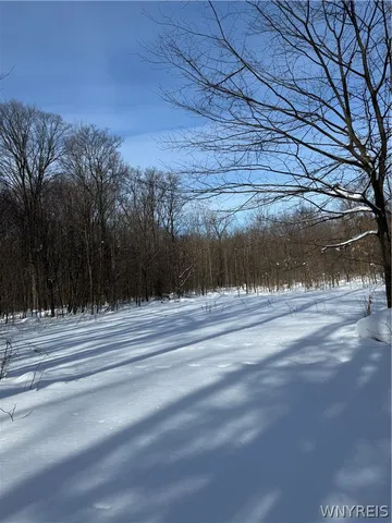 $35,000 | Syler Road, Varysburg, NY 14167