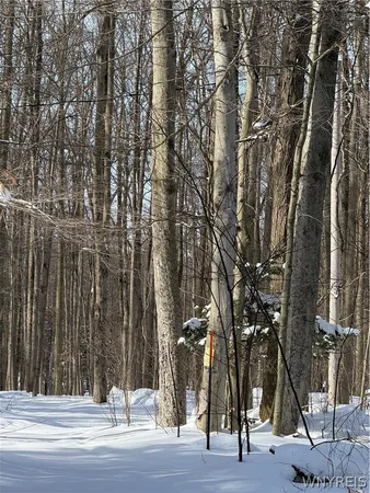 $35,000 | Syler Road, Varysburg, NY 14167