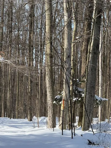 $35,000 | Syler Road, Varysburg, NY 14167