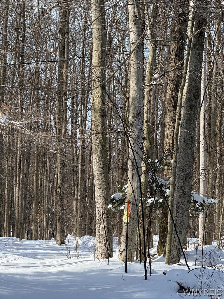 Syler Road Varysburg, NY 14167 - Photo 2 of 6