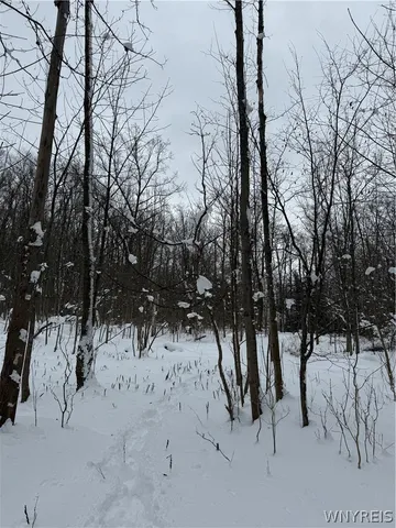 $35,000 | Syler Road, Varysburg, NY 14167