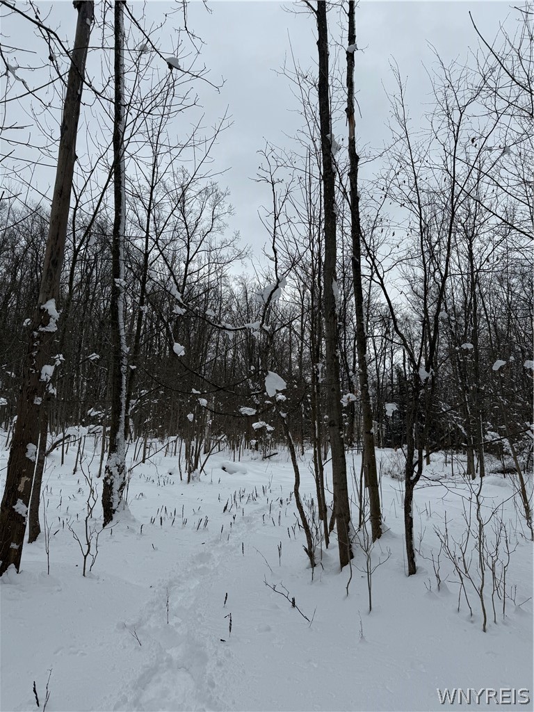 Syler Road Varysburg, NY 14167 - Photo 3 of 6 Rear section of property